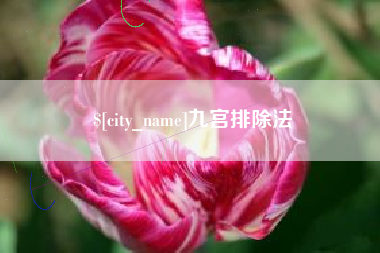 博白九宫排除法
