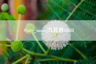 博白九宫格42633