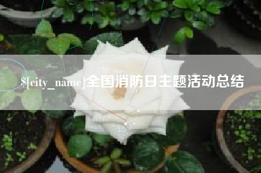 博白全国消防日主题活动总结
