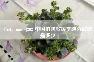 博白2021中国消防救援学院分数线是多少
