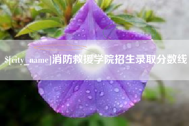 博白消防救援学院招生录取分数线