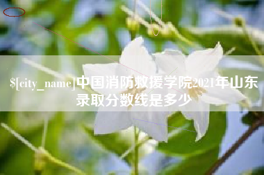 博白中国消防救援学院2021年山东录取分数线是多少