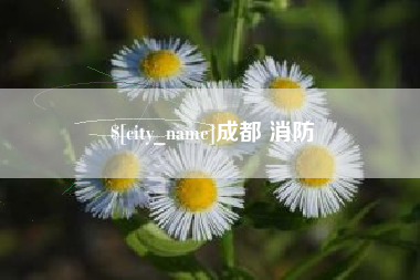 博白成都 消防