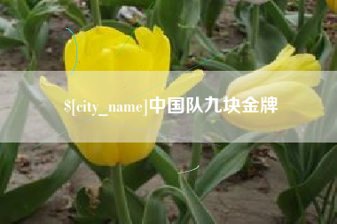 博白中国队九块金牌
