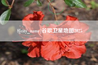 博白谷歌卫星地图2025