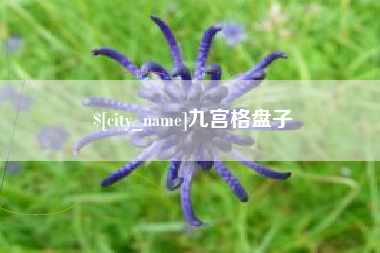 博白九宫格盘子