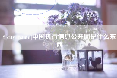 博白中国执行信息公开网是什么东西