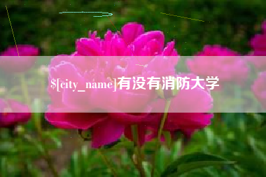 博白有没有消防大学