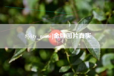 博白金牌图片真实
