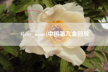 博白中国第九金回放