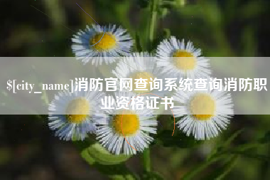 博白消防官网查询系统查询消防职业资格证书