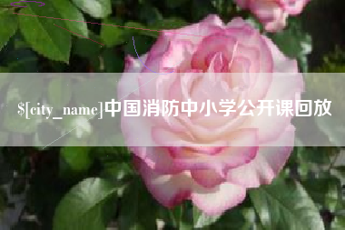 博白中国消防中小学公开课回放