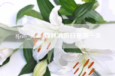 博白森林消防日是哪一天