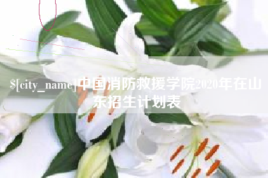 博白中国消防救援学院2020年在山东招生计划表