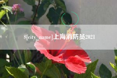 博白上海消防员2021