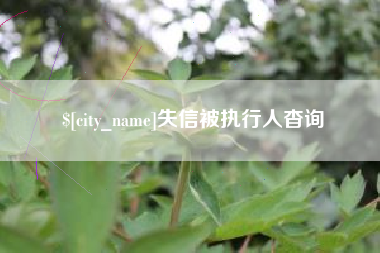 博白失信被执行人杳询