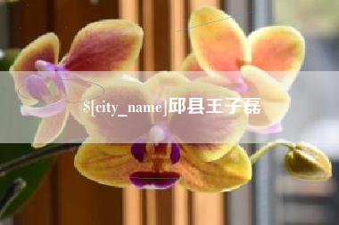 博白邱县王子磊