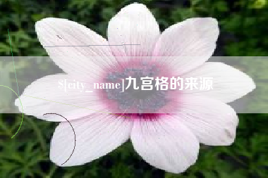 博白九宫格的来源