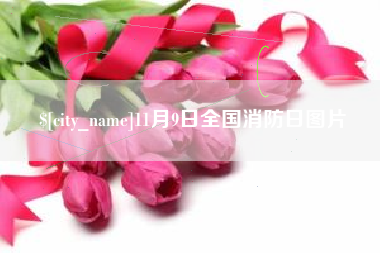 博白11月9日全国消防日图片