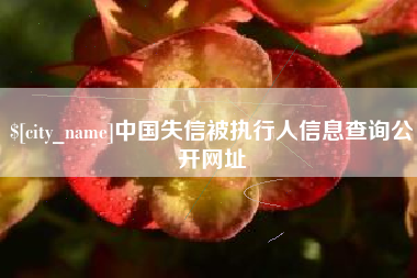 博白中国失信被执行人信息查询公开网址