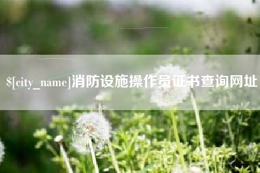 博白消防设施操作员证书查询网址