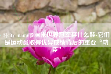 博白5000米世界冠军穿什么鞋-它们是运动员取得优异成绩背后的重要“功臣”