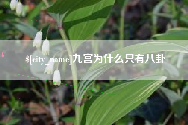 博白九宫为什么只有八卦