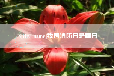 博白我国消防日是哪日
