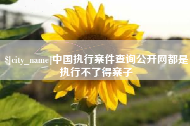 博白中国执行案件查询公开网都是执行不了得案子