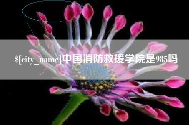 博白中国消防救援学院是985吗