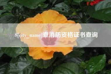 博白查消防资格证书查询