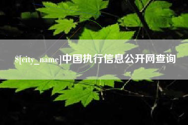 博白中国执行信息公开网查询