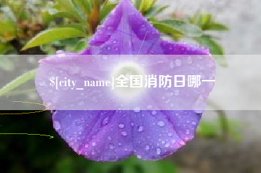 博白全国消防日哪一