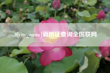 博白消防证查询全国联网