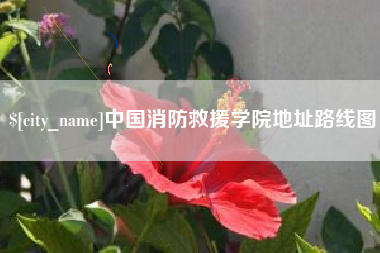 博白中国消防救援学院地址路线图