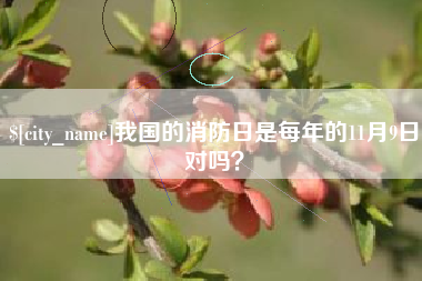 博白我国的消防日是每年的11月9日对吗？