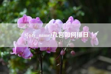 博白九宫如何排日