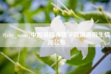 博白中国消防救援学院湖南招生情况公布