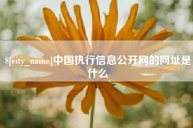 博白中国执行信息公开网的网址是什么