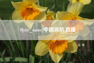 博白中国消防,直播