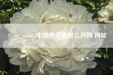 博白中国执行信息公开网 网址