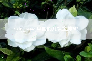 博白中国的几块金牌2021