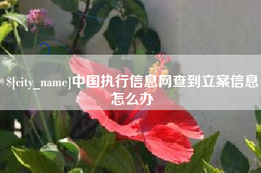 博白中国执行信息网查到立案信息怎么办