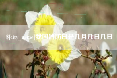 博白我国消防日是几月几日几日