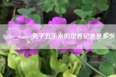 博白男子五千米的世界纪录是多少