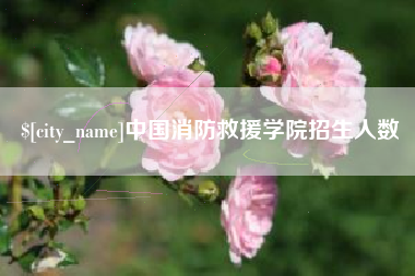 博白中国消防救援学院招生人数