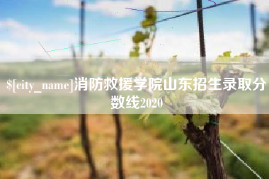 博白消防救援学院山东招生录取分数线2020