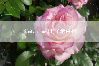 博白王子豪百科