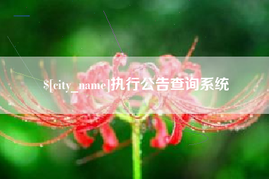 博白执行公告查询系统