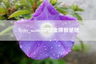 博白中国金牌都是啥